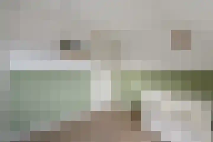 Job van der Havestraat 7 Wilhelminaoord thumbnail 25