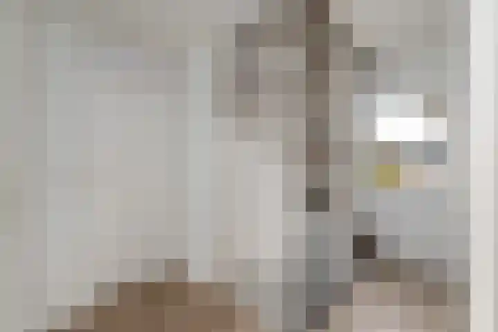 Job van der Havestraat 7 Wilhelminaoord thumbnail 29