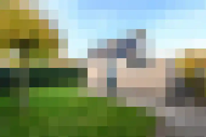 Job van der Havestraat 7 Wilhelminaoord thumbnail 33