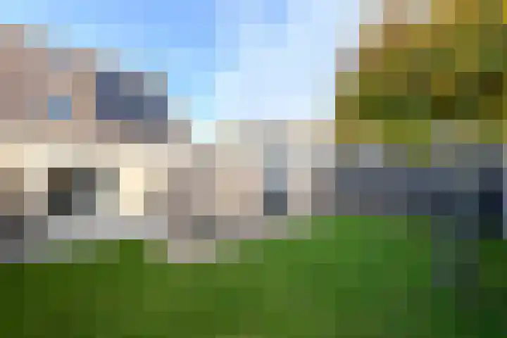 Job van der Havestraat 7 Wilhelminaoord thumbnail 34