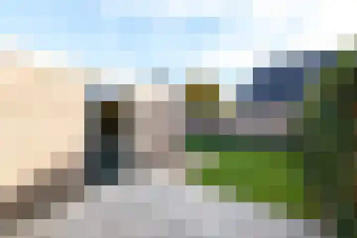 Job van der Havestraat 7 Wilhelminaoord thumbnail 35