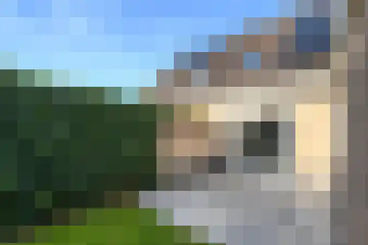 Job van der Havestraat 7 Wilhelminaoord thumbnail 36