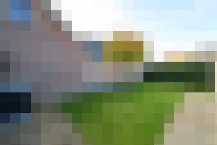 Job van der Havestraat 7 Wilhelminaoord thumbnail 37