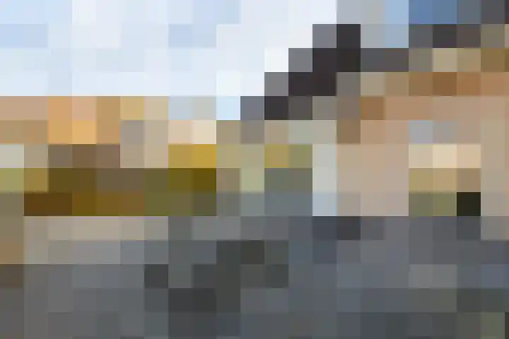 Job van der Havestraat 7 Wilhelminaoord thumbnail 39