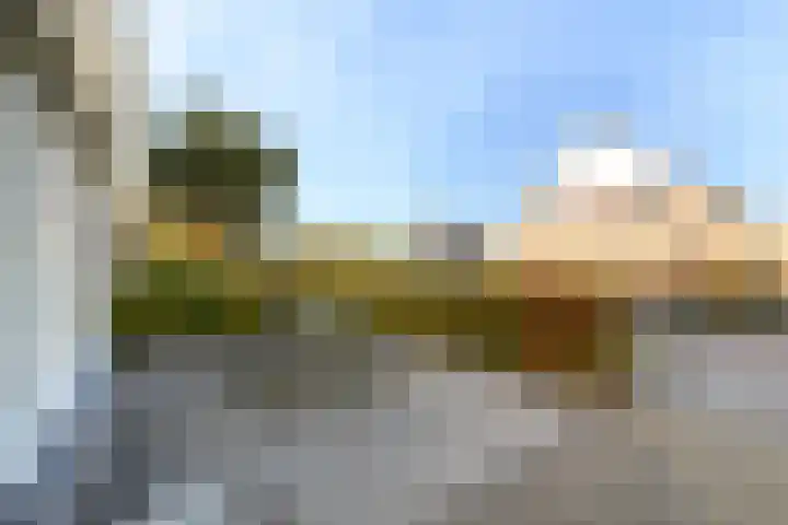 Job van der Havestraat 7 Wilhelminaoord thumbnail 40
