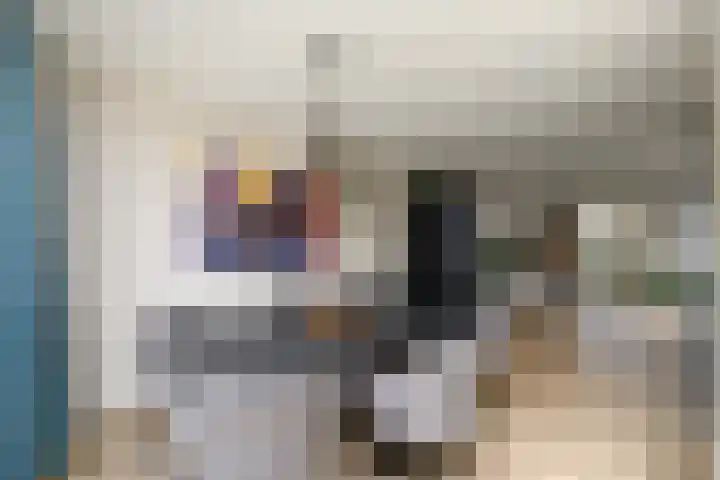 Job van der Havestraat 7 Wilhelminaoord thumbnail 8