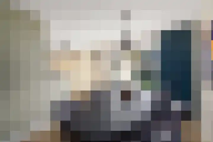 Job van der Havestraat 7 Wilhelminaoord thumbnail 9