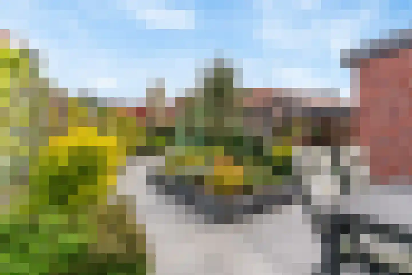 Job van der Zeelaan 3 Maassluis thumbnail 39