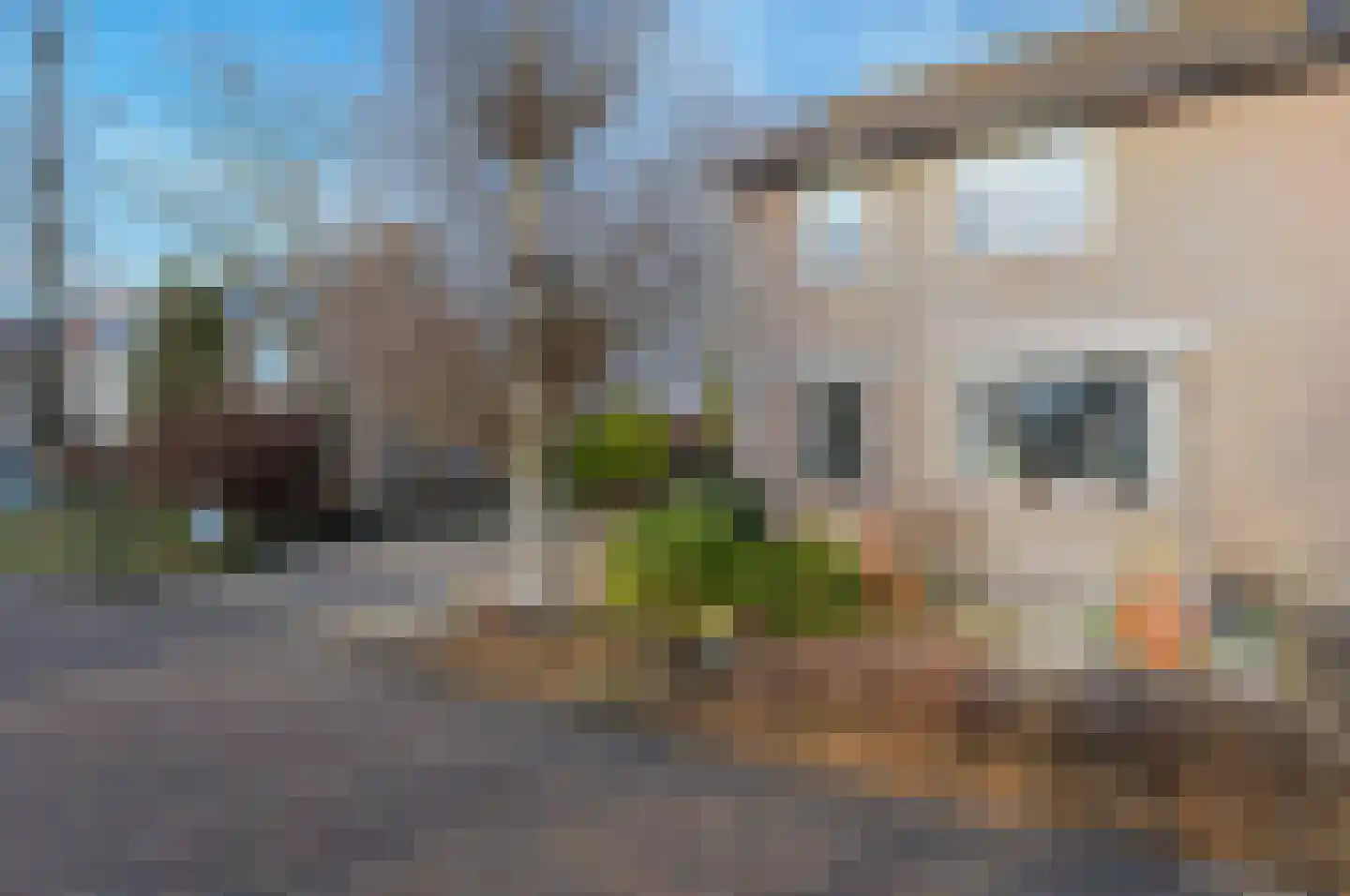 Jochems 22 Wervershoof thumbnail 38