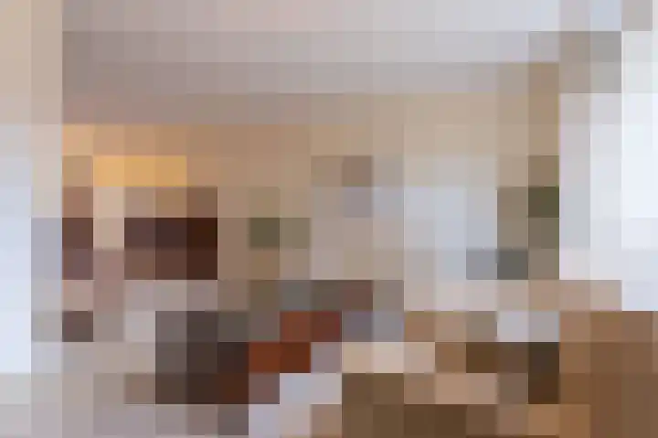Jochems 22 Wervershoof thumbnail 5