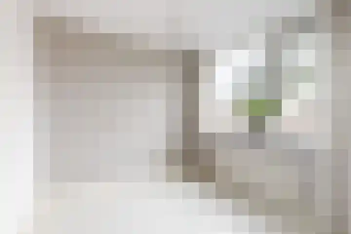 Jochems 52 Wervershoof thumbnail 22
