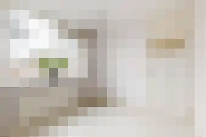 Jochems 52 Wervershoof thumbnail 23