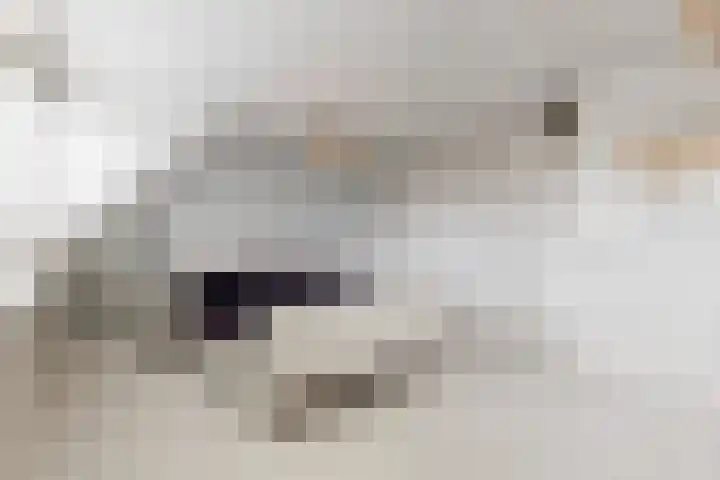 Jochems 52 Wervershoof thumbnail 24