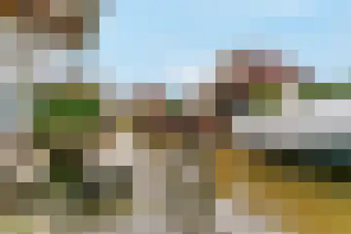 Jochems 52 Wervershoof thumbnail 4