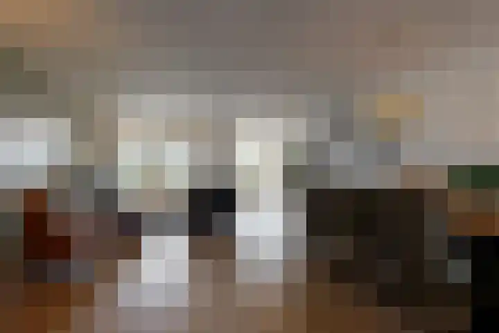 Jochems 52 Wervershoof thumbnail 6