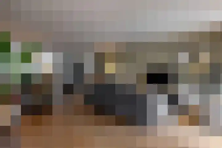Jochems 52 Wervershoof thumbnail 7