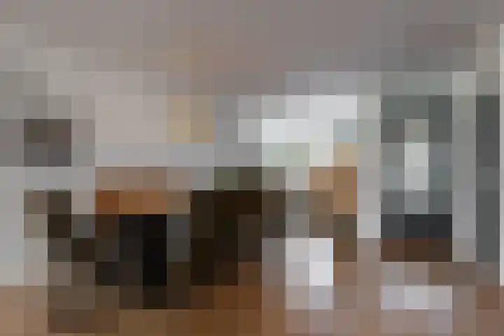 Jochems 52 Wervershoof thumbnail 8