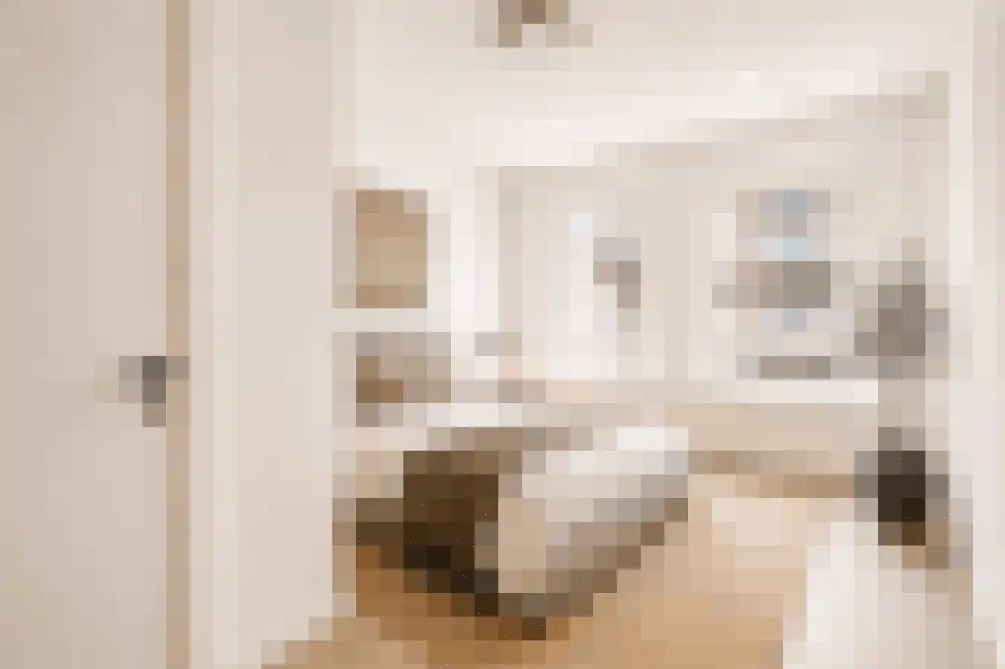 Jodenbreestraat 116 Amsterdam thumbnail 14