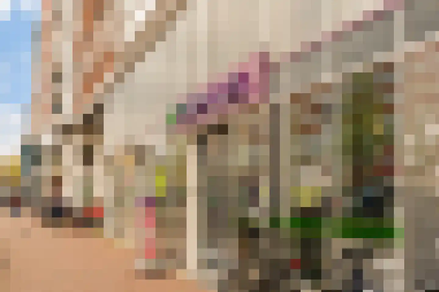 Jodenbreestraat 116 Amsterdam thumbnail 29