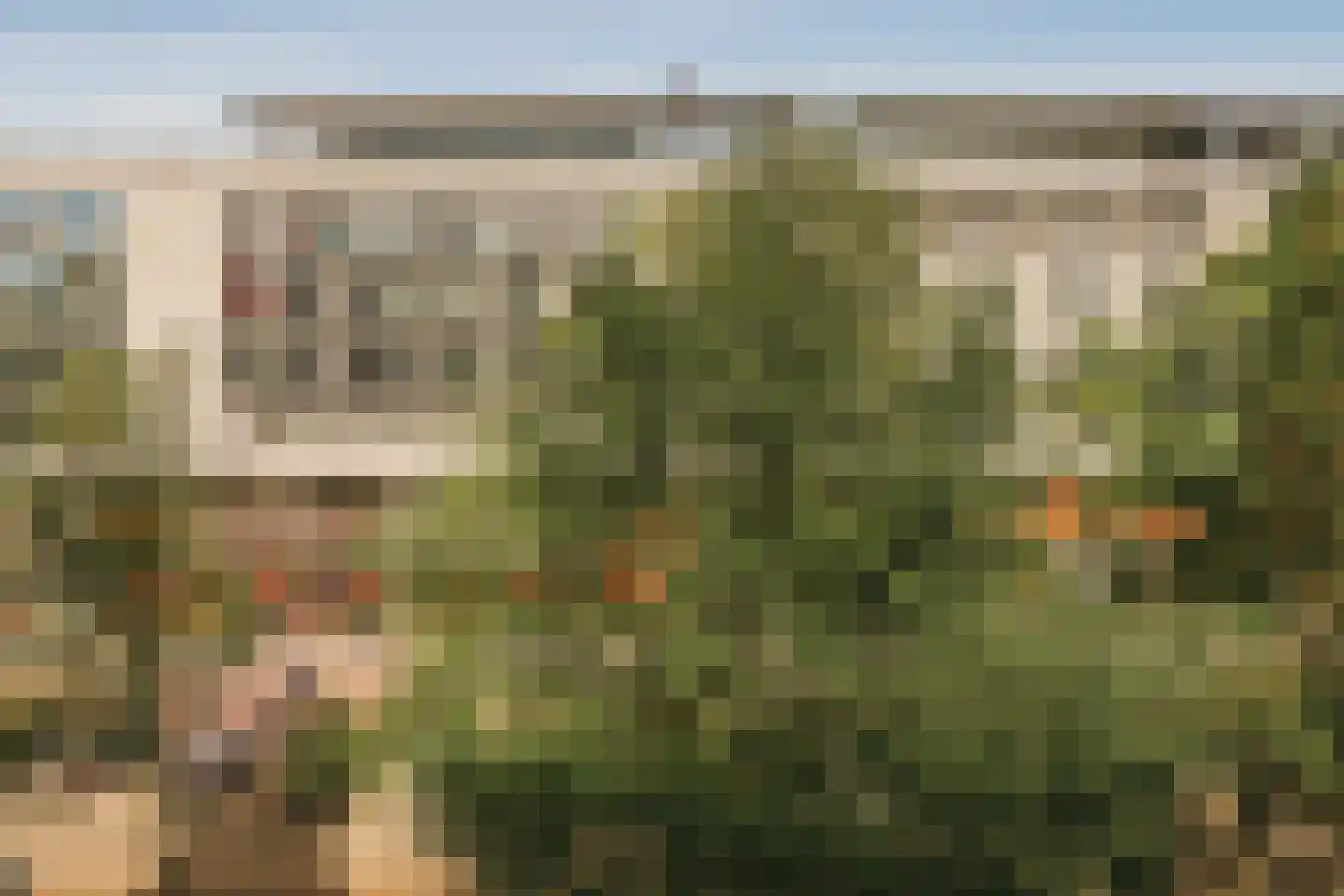 Jodenbreestraat 16 D Amsterdam thumbnail 9
