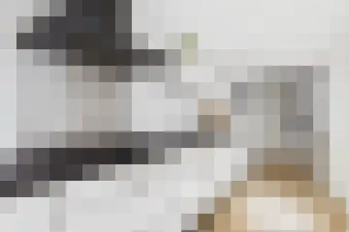 Jodengang 4 Middelburg thumbnail 15