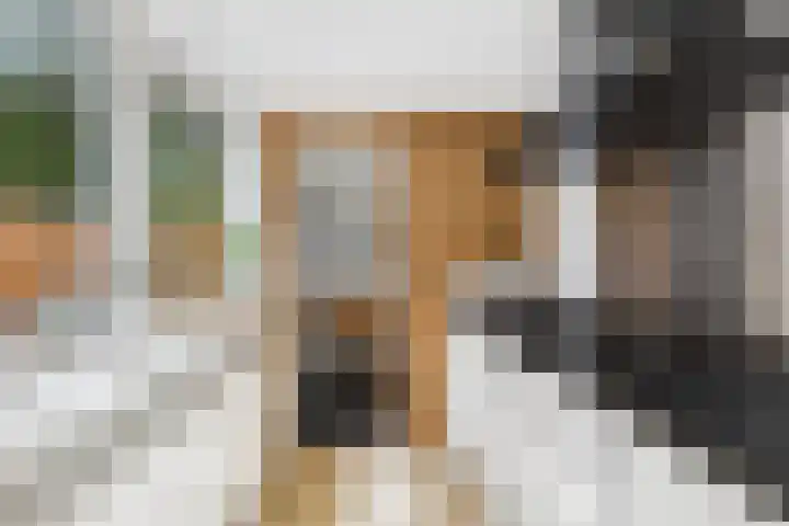 Jodengang 4 Middelburg thumbnail 16