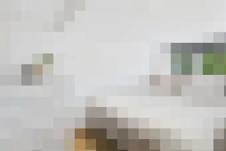 Jodengang 4 Middelburg thumbnail 23