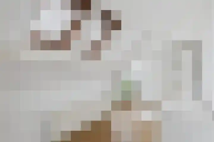 Jodengang 4 Middelburg thumbnail 24