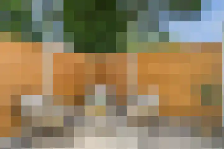 Jodengang 4 Middelburg thumbnail 31
