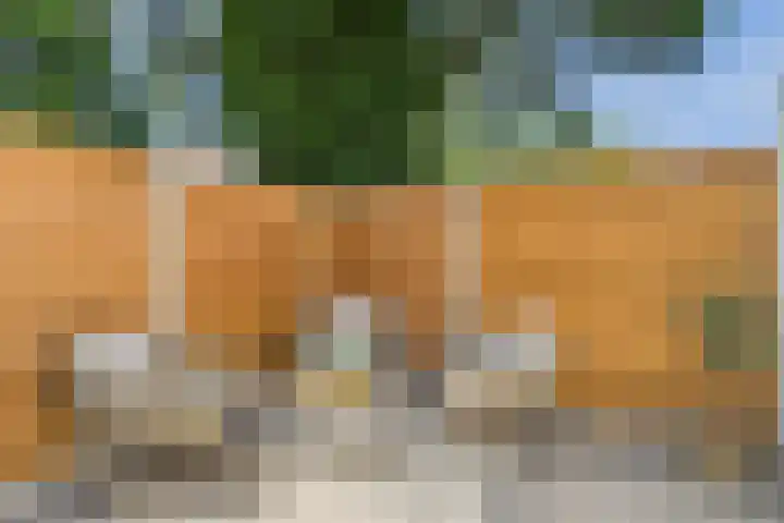 Jodengang 4 Middelburg thumbnail 5