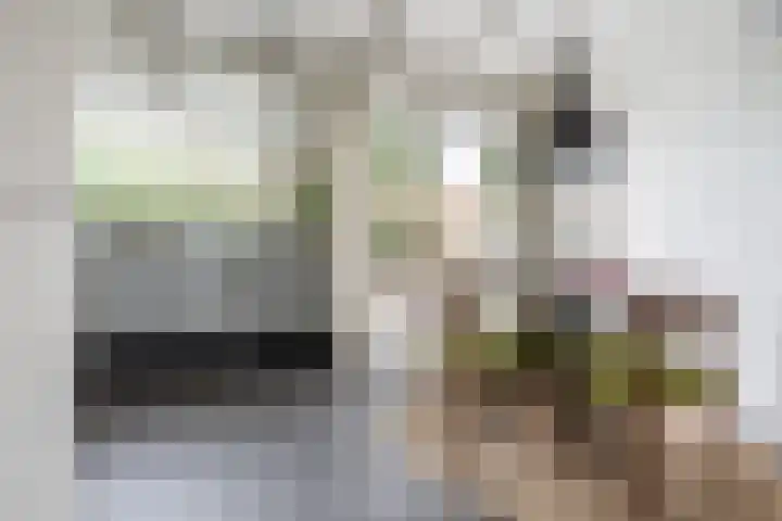 Jodengang 6 Middelburg thumbnail 10