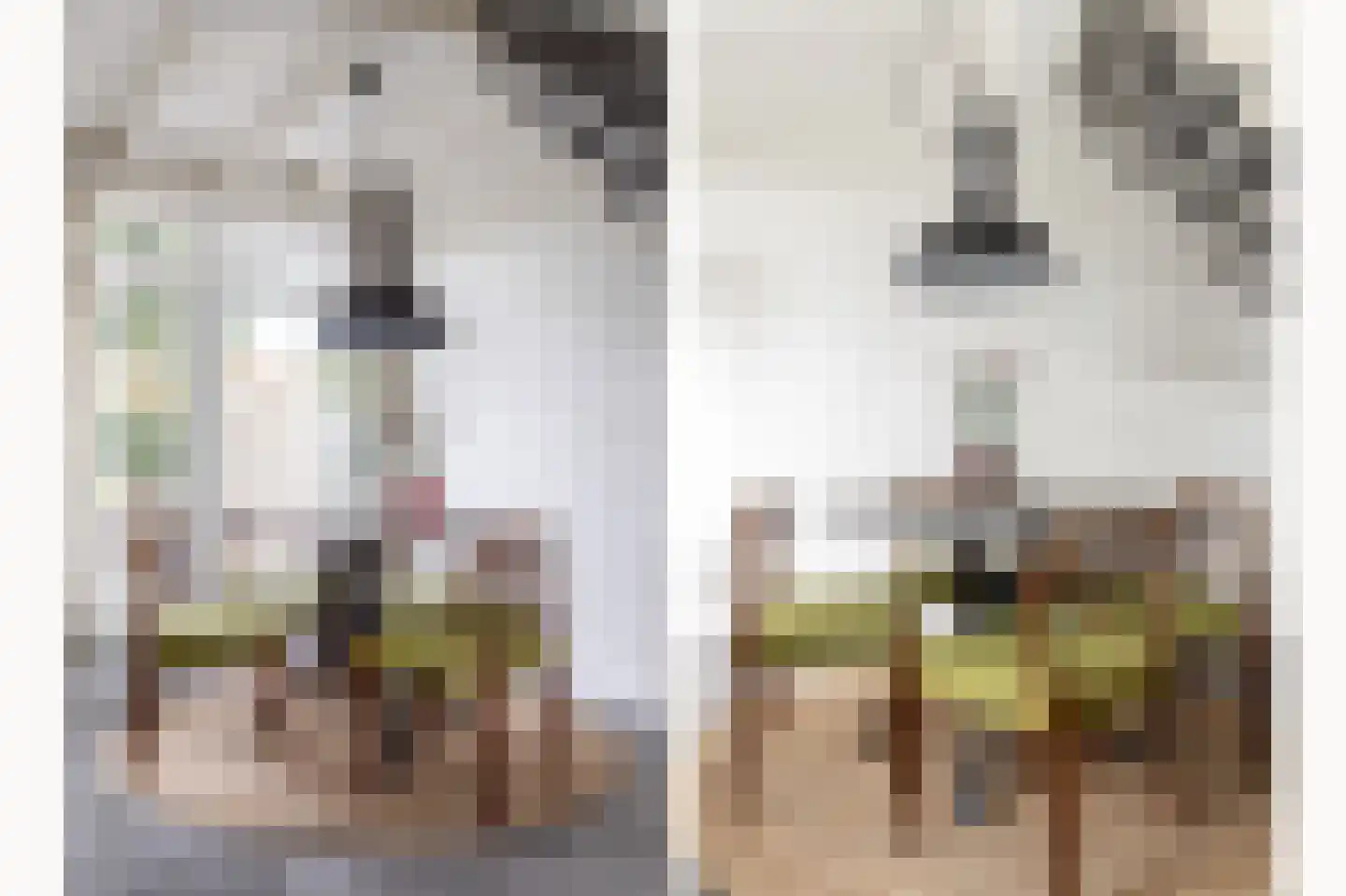 Jodengang 6 Middelburg thumbnail 12