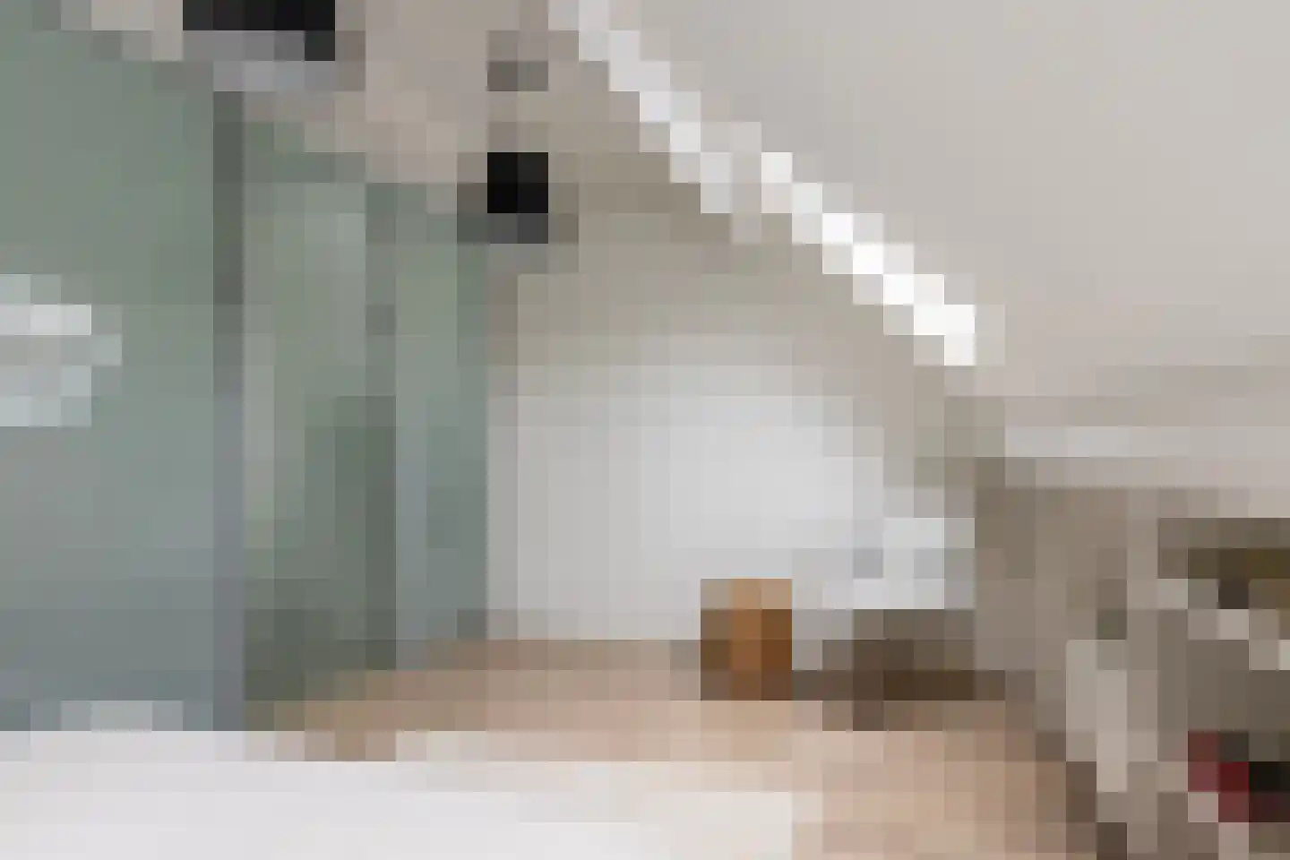 Jodengang 6 Middelburg thumbnail 17