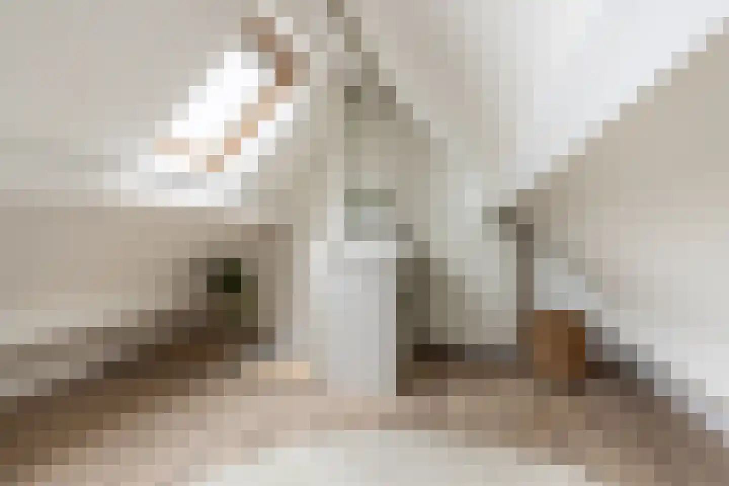 Jodengang 6 Middelburg thumbnail 25