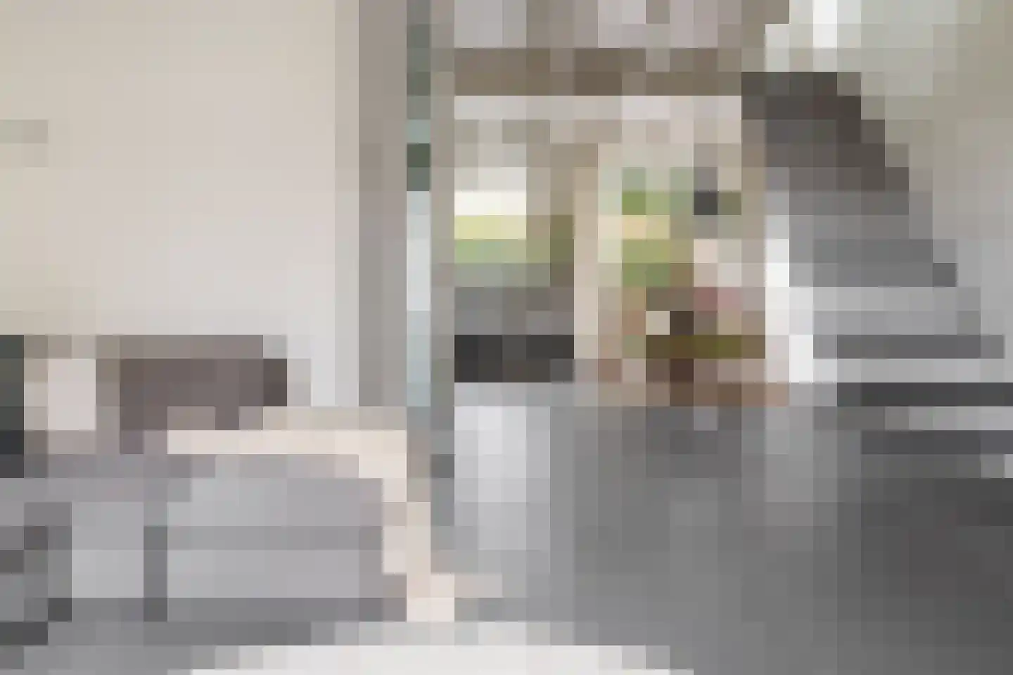 Jodengang 6 Middelburg thumbnail 7