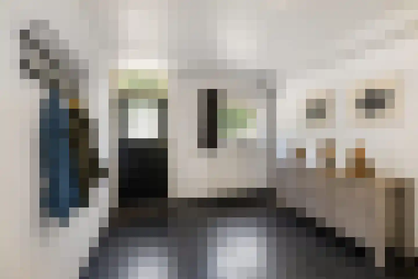 Jodenpeeldreef 6 De Rips thumbnail 11