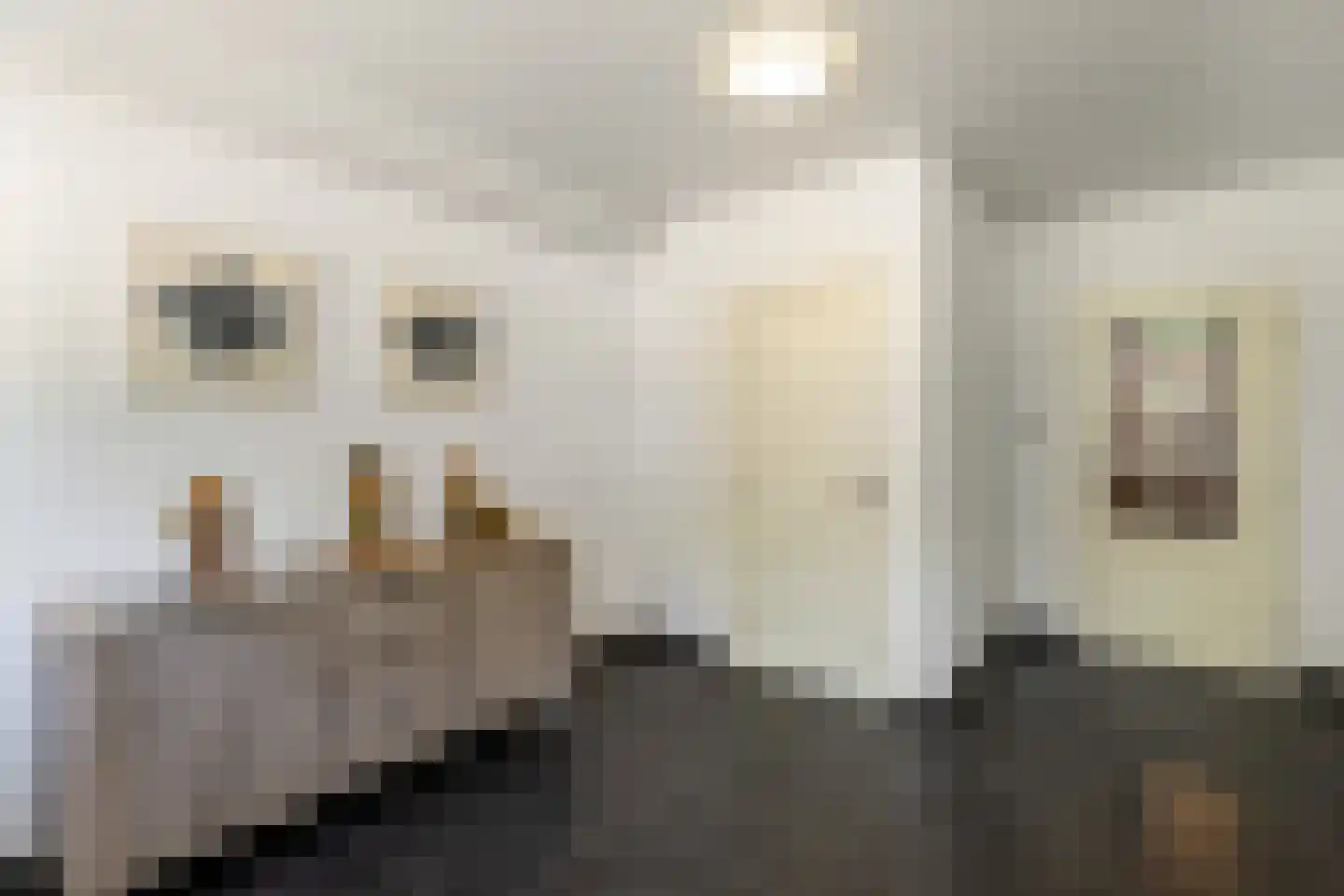 Jodenpeeldreef 6 De Rips thumbnail 12
