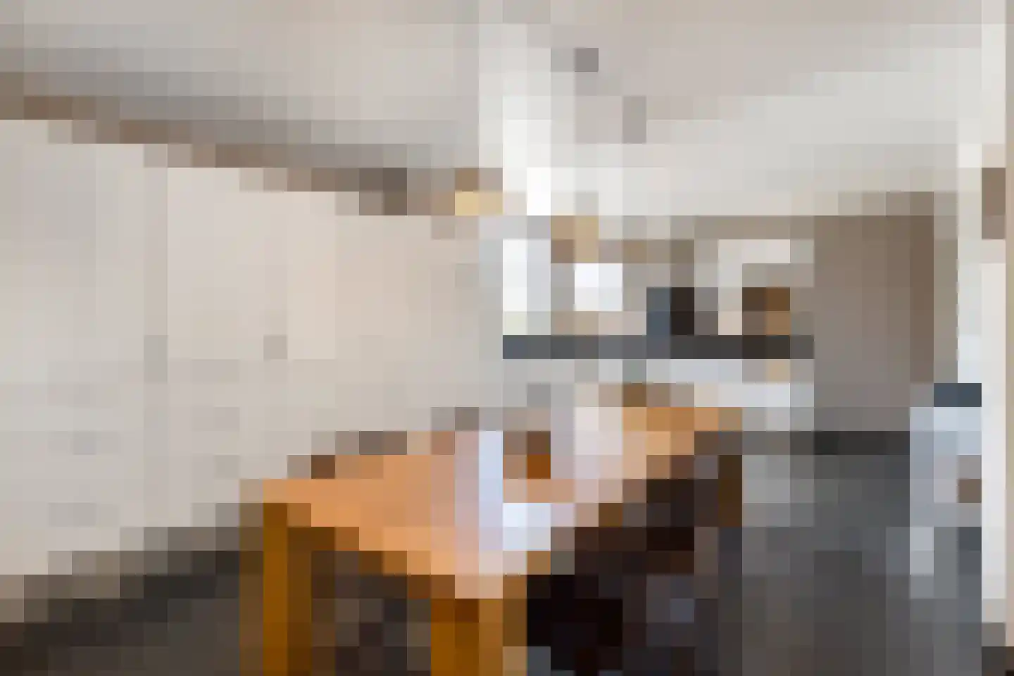 Jodenpeeldreef 6 De Rips thumbnail 14