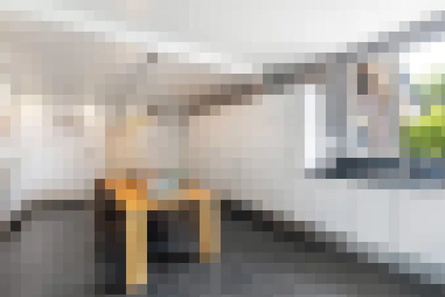 Jodenpeeldreef 6 De Rips thumbnail 16