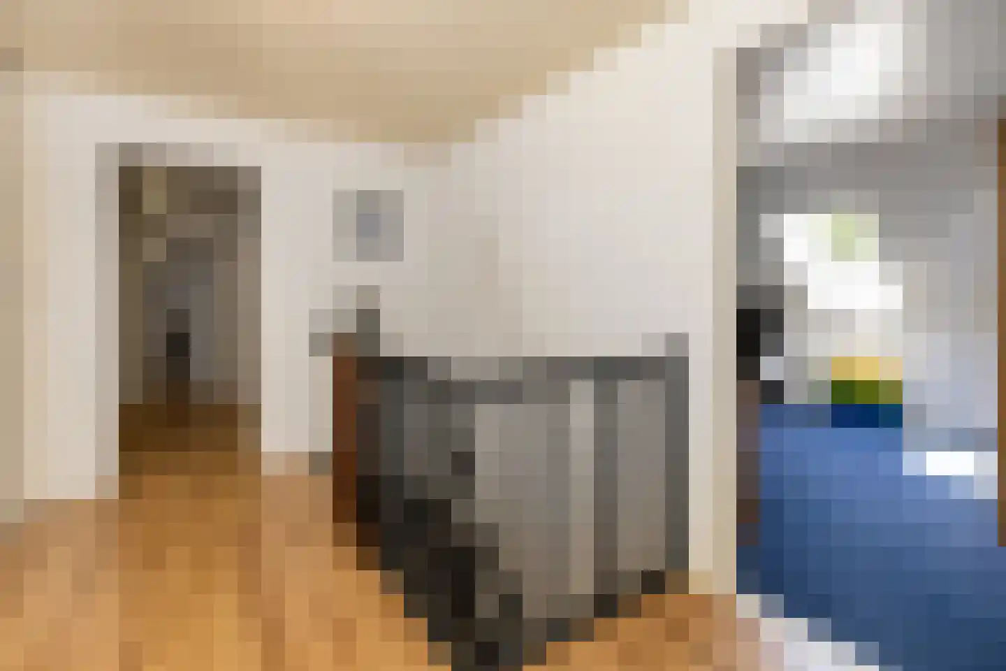 Jodenpeeldreef 6 De Rips thumbnail 32