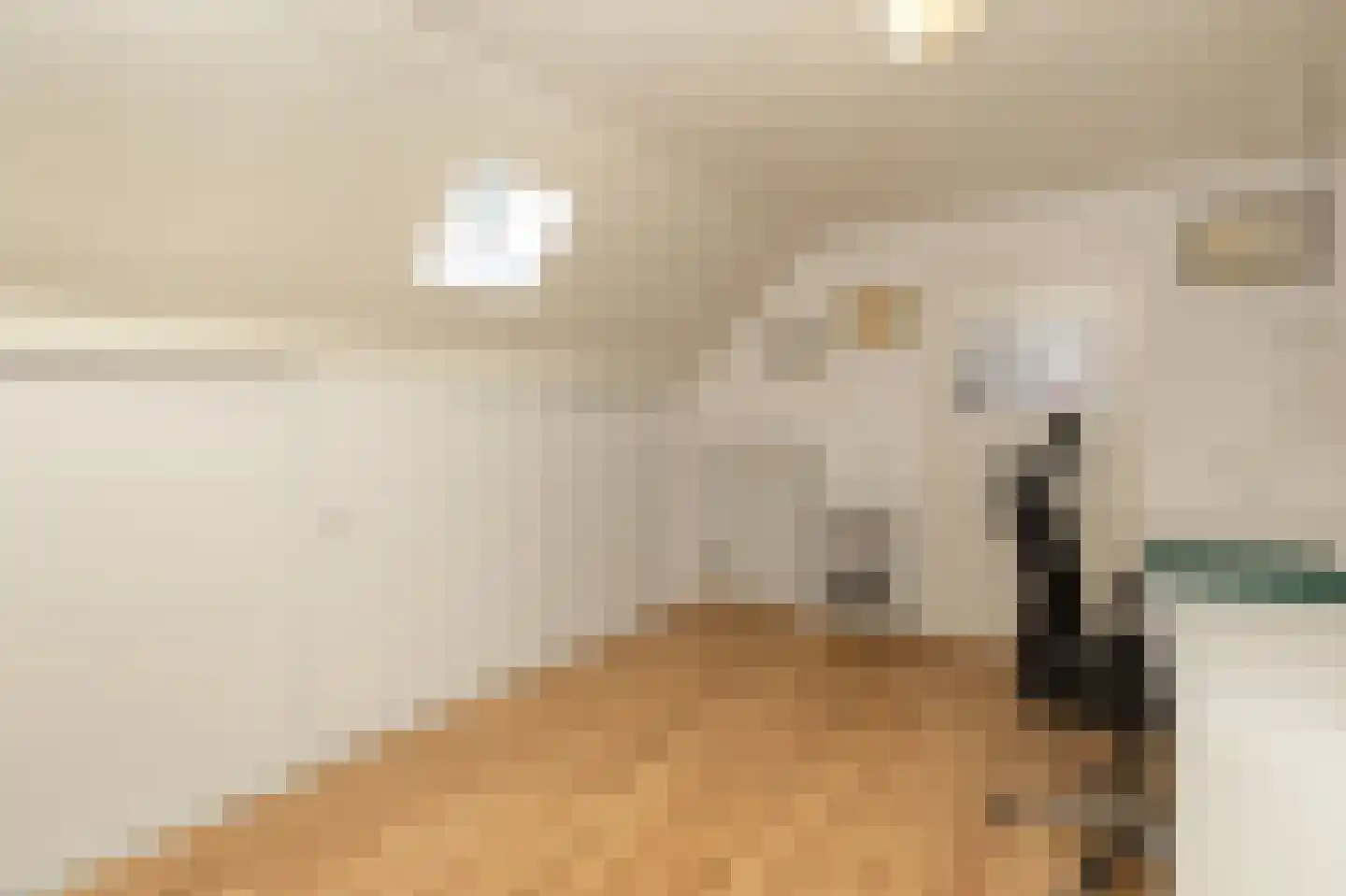 Jodenpeeldreef 6 De Rips thumbnail 38