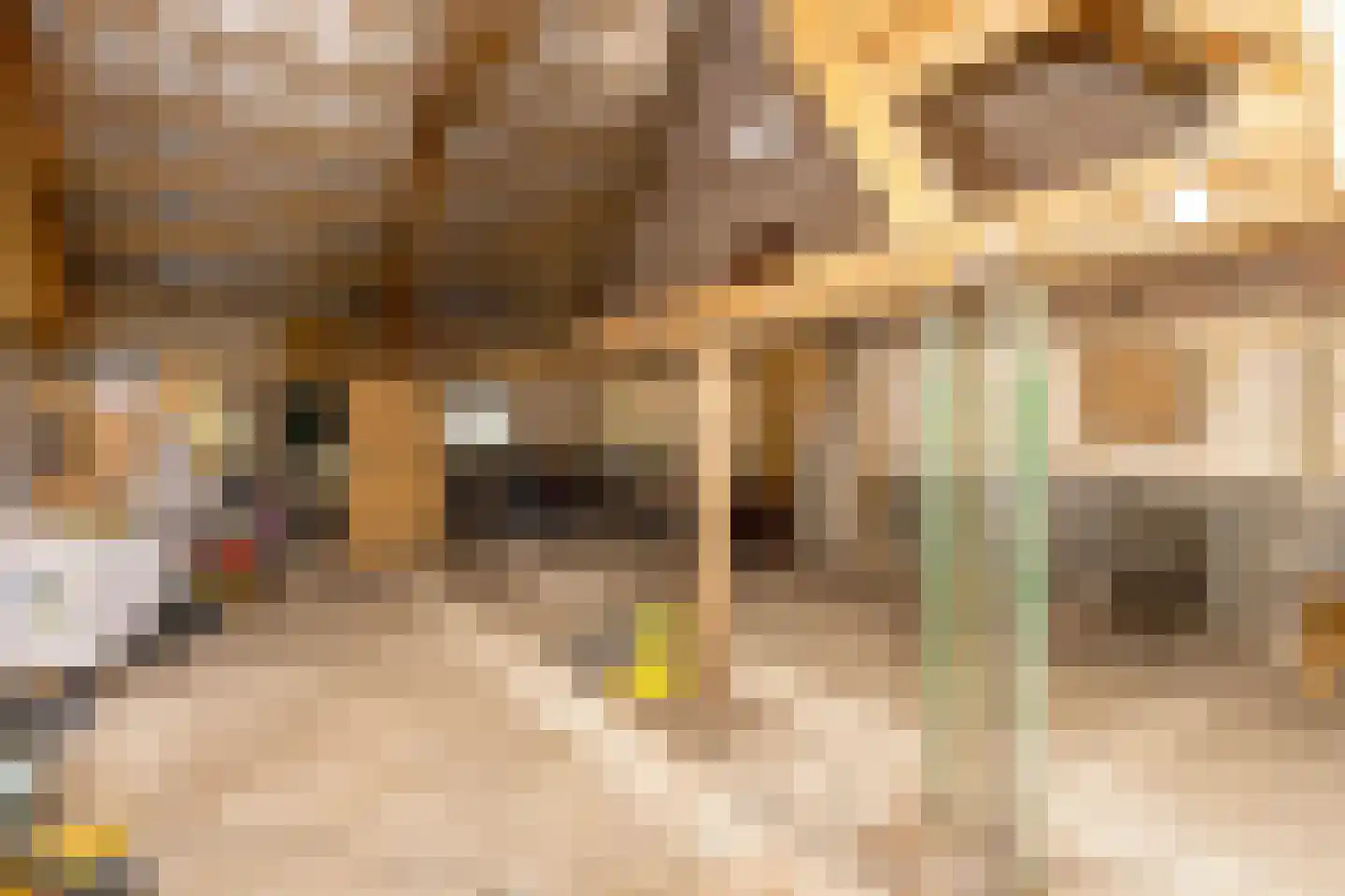 Jodenpeeldreef 6 De Rips thumbnail 39
