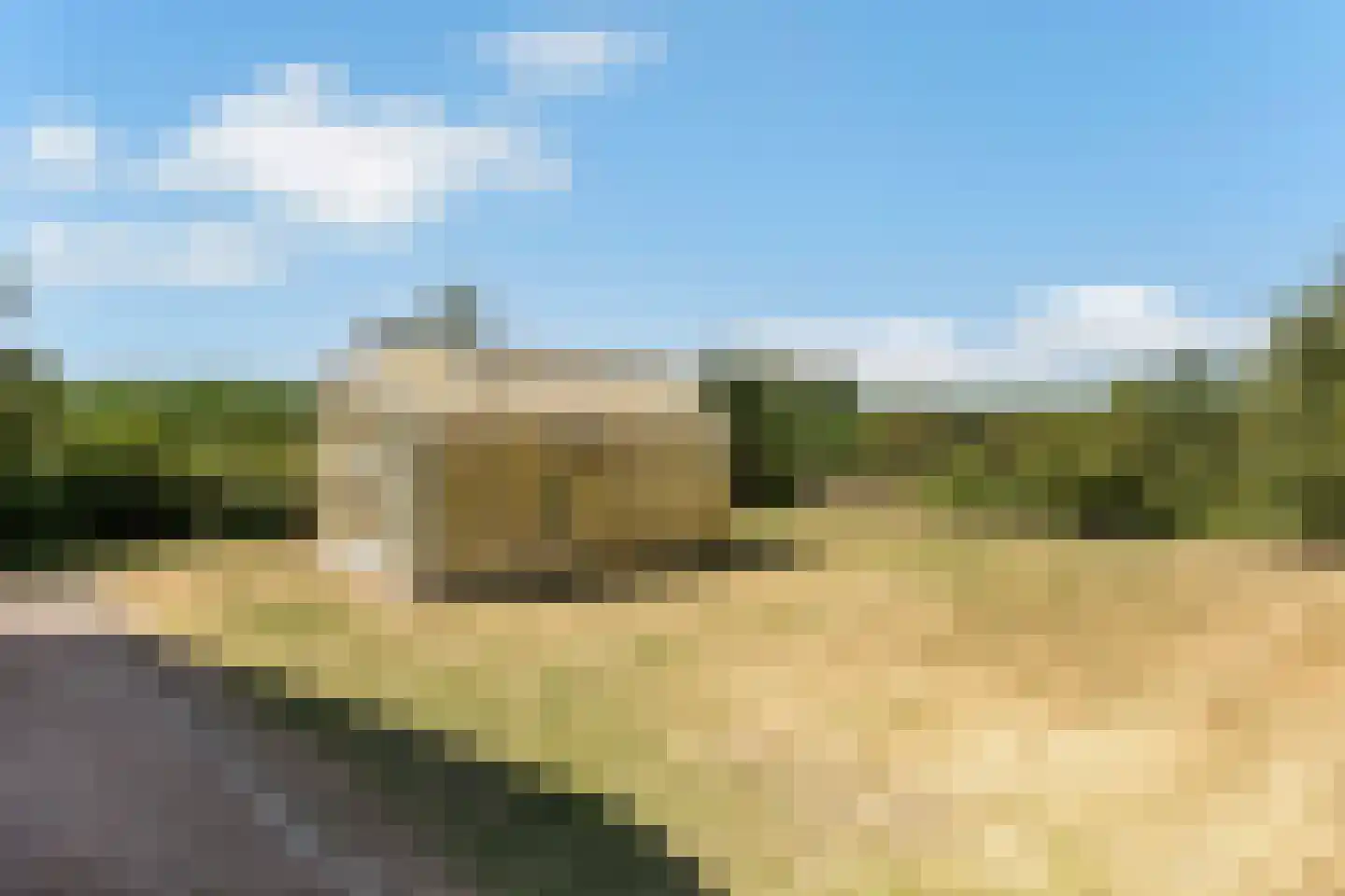 Jodenpeeldreef 6 De Rips thumbnail 47