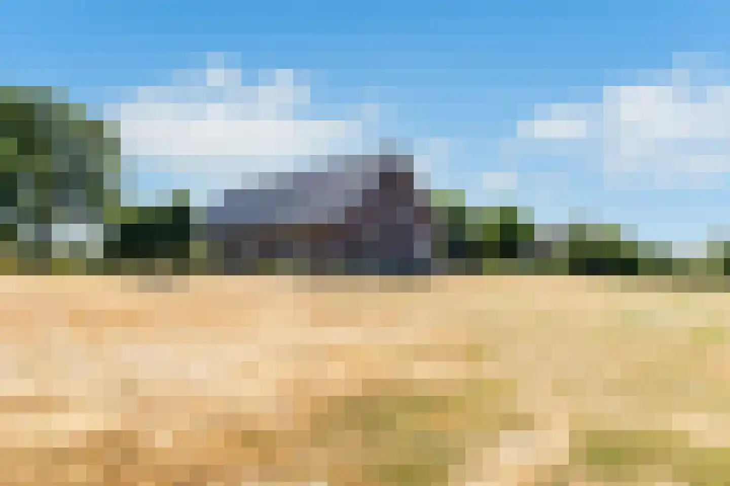 Jodenpeeldreef 6 De Rips thumbnail 51