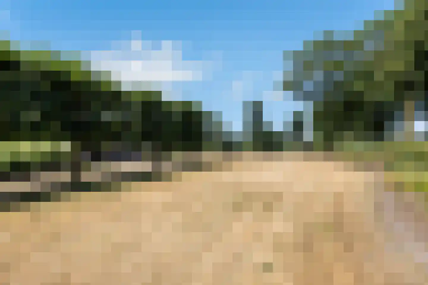 Jodenpeeldreef 6 De Rips thumbnail 52