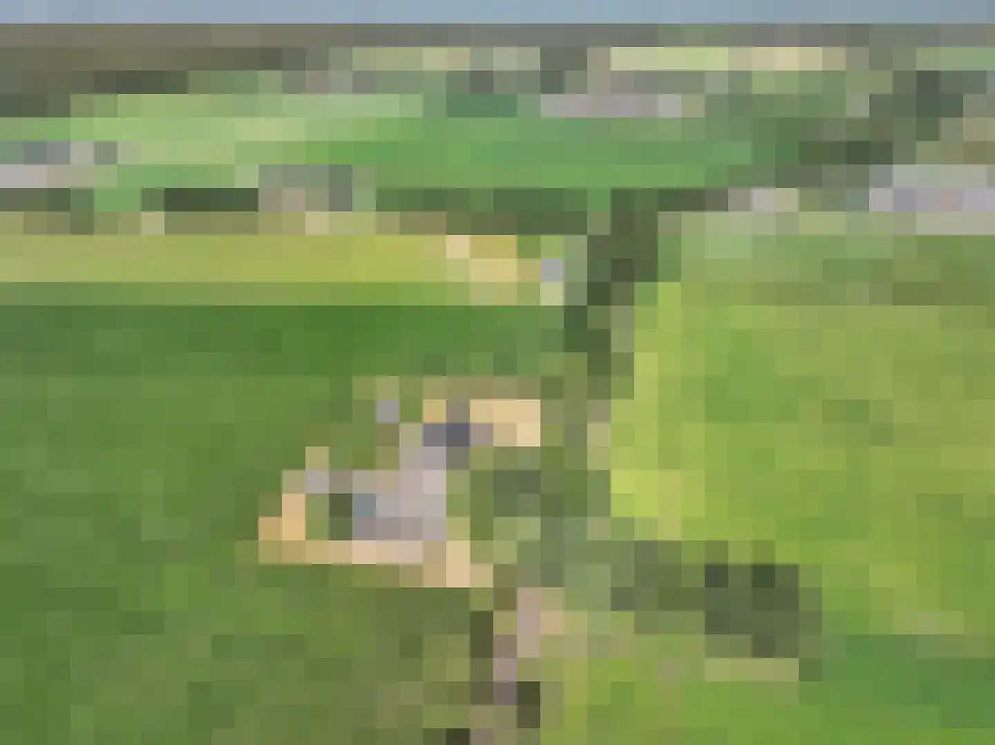 Jodenpeeldreef 6 De Rips thumbnail 7