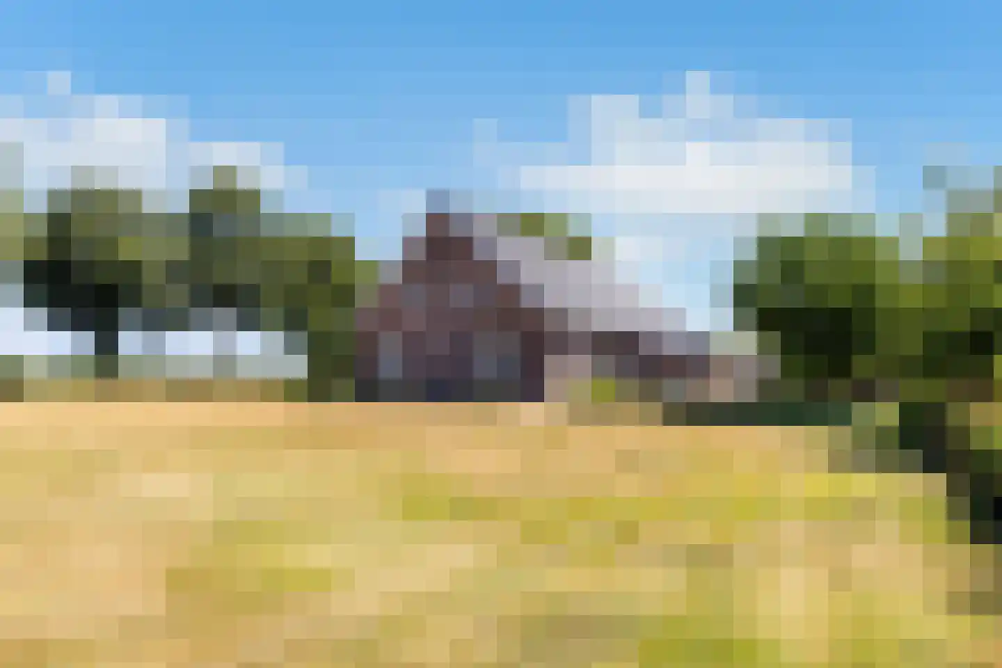 Jodenpeeldreef 6 De Rips thumbnail 9