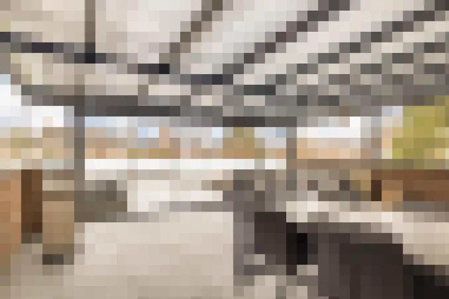 Jodenstraat 23 8 Geleen thumbnail 21