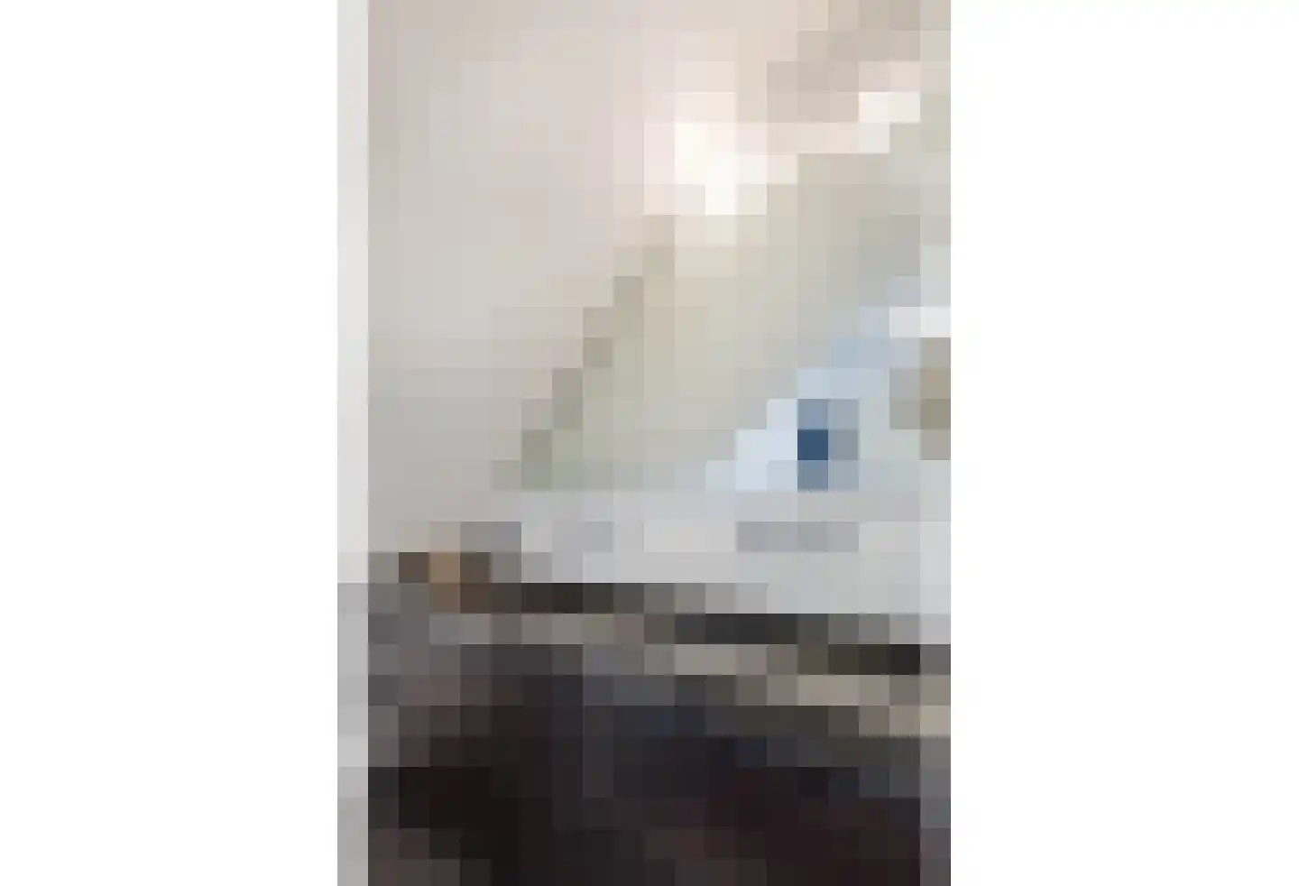 Jodenstraat 23 8 Geleen thumbnail 29