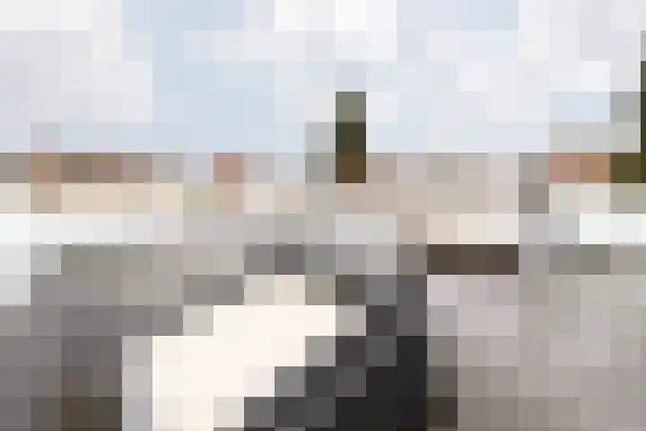 Jodenstraat 23 8 Geleen thumbnail 34